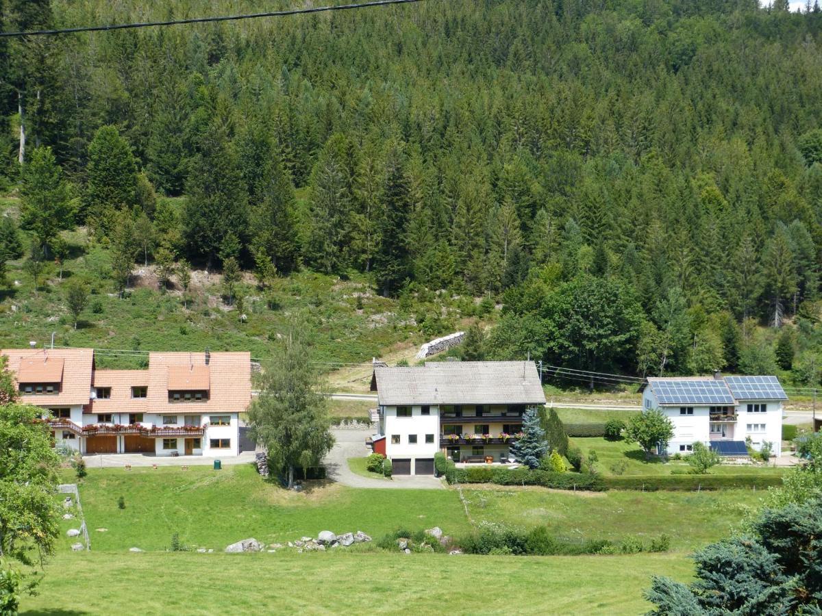 Ferienwohnung Haus Wiesengrund フォルバック エクステリア 写真